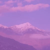 fuchsia-mountains-600x600