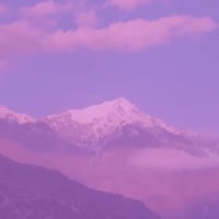 fuchsia-mountains-600x600 fuchsia-mountains-600x600